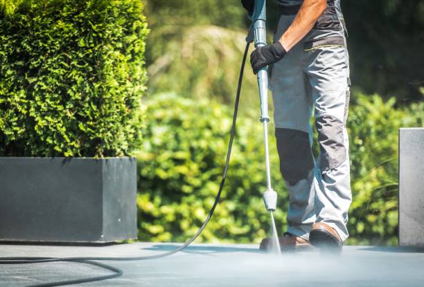 Best Graffiti Removal Services in Locust, NC